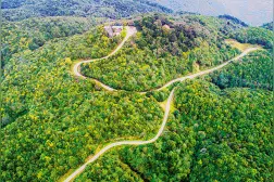 宜良竹山镇：这里有昆明最大野生马缨花生物群落图片