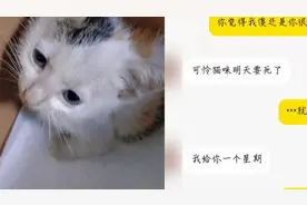 男子在闲鱼领养猫后威胁猫主“不发裸照我就杀猫”，已被刑拘视频封面