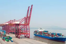 停航！马士基 MSC宣布取消亚欧航线多个航次，涉及上海、宁波、大连图片