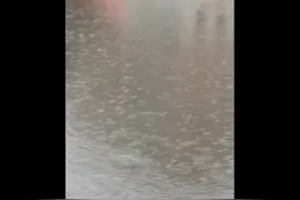 青未了｜|马西良：|秋雨的味道图片