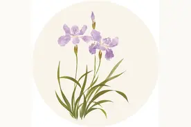“跳出”自己看自己图片