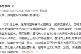 河南中牟一景区吊桥断裂致十余人落水，官方：景区已停业整顿图片