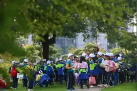 “研学游”既无“研”也不“学”？业内人士揭秘背后乱象→图片