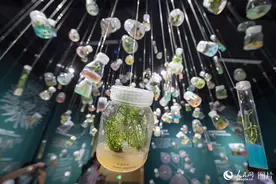 走进昆明植物园“扶荔宫” 探寻神秘的植物王国图片