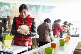 江苏东海：编织“智慧乡村”幸福美景图片
