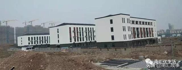 大调查,南汇民乐城的房子:值不值得大家买,买房子的都是谁?