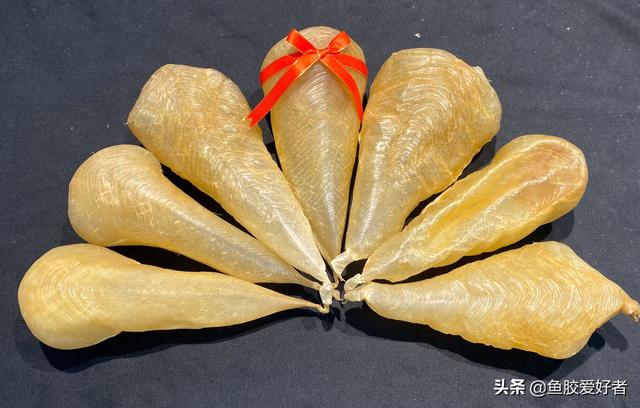 白花胶哪里产的最好 白花胶哪里产的最好功效都一样吗