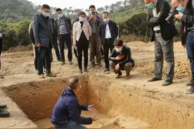 东莞再现先秦遗址，距今约3000年—2500年图片