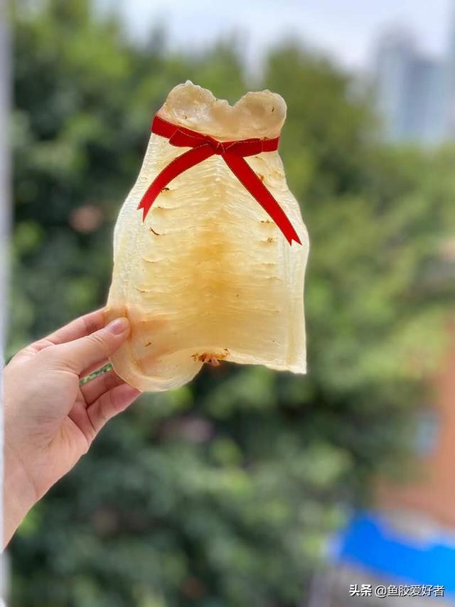 赤嘴鱼胶怎么分哪个地区产的 2026年赤嘴鱼胶怎么分真假 赤嘴鱼胶怎么分哪个地区产的 2026年赤嘴鱼胶怎么分真假