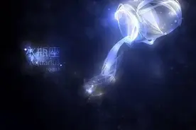 水瓶座：智慧，理性，理想图片