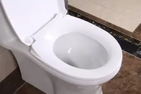 卫生间太臭怎么办？只需滴上几滴它，再也不用担心有异味图片