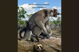 远古先祖VS现代亲戚，动物们的变化真是太太太太太大了图片