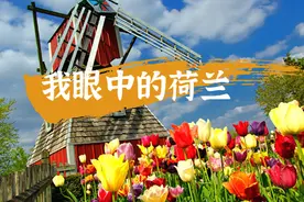 我眼中的荷兰，那些风车与郁金香的思绪图片