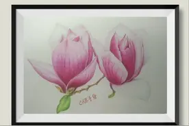 零基础入门彩铅教程：教你画一幅漂亮的紫玉兰，快来学吧图片