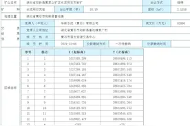 8.2亿元！华新水泥拿下湖北一矿山采矿权图片