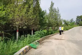 涧河派出所开展流浪犬清理整治图片
