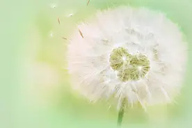 想念一个男人，不要联系他，做好这些他会主动来找你图片