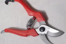 养花人该常备的4样工具图片