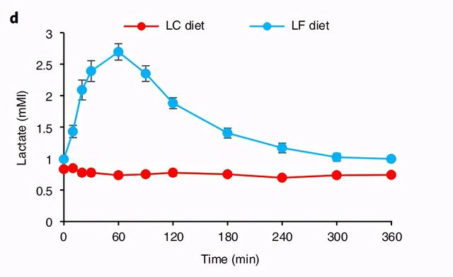范志红老师（应该没有）刻意抹黑生酮饮食