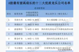 A股最有望高成长的十二大优质龙头公司，值得收藏研究图片