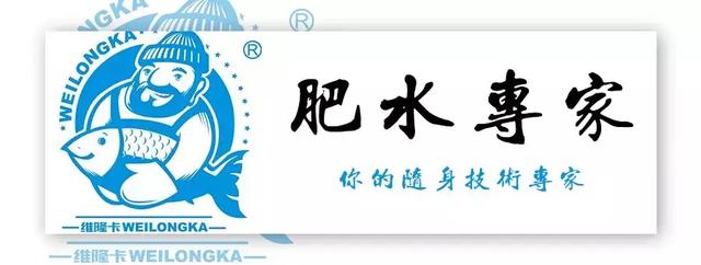 温差变化大，池塘出现泡沫油膜可以这样处理