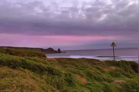 要翻天？30.5厘米巨型蜈蚣捕食3700只海鸟，为何如此反常？有多毒图片
