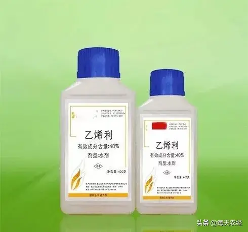 一画7色，独家配方，营养着色，农资经销商热卖的又一爆款产品