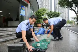 又有人非法捕捞！这次还有国家二级保护动物胭脂鱼图片