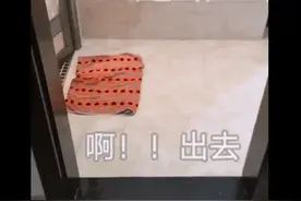 给爸爸搓背的“孝顺”儿子火了，看到“搓澡巾”后，隔着屏幕都疼图片