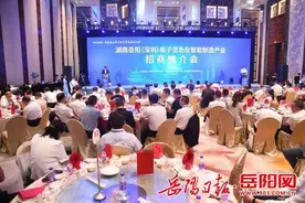 走出去，收获满满！岳阳一场专题招商会引资超200亿图片
