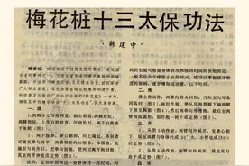 十三太保功法图片