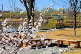 【头条】来六鼎山，看一眼春色几许图片