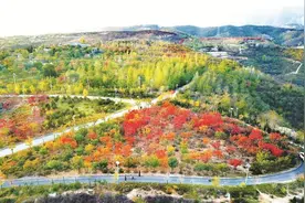 《焦作市北山生态环境保护条例》颁布实施四周年——守住绿水青山，铸就金山银山！图片