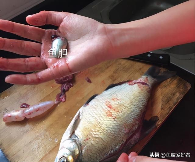 花胶需要每天吃吗 2026年花胶需要每天吃吗女性