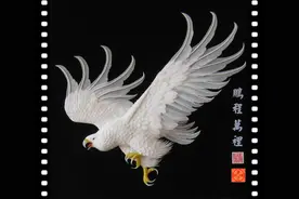 精湛的立体纸艺｜欣赏图片