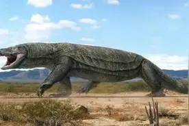 顶级猛兽澳洲食人魔龙古巨蜥，是怎么被弱小的人类灭绝的？图片