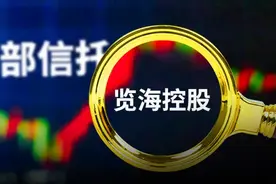 西部信托30亿产品存违约风险，牵出董卿老公密春雷的资本版图图片
