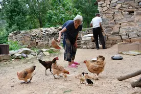 农村俗语：“四十不多欲，五十不多情”，多情到底是指什么呢？图片