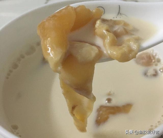 鱼胶没煮烂可以吃吗 2025年鱼胶没煮烂可以吃吗有营养吗