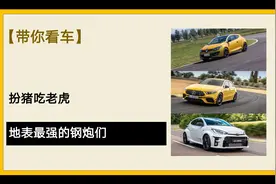 【带你看车】扮猪吃老虎 盘点几款性能最为强劲的小钢炮图片