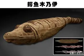 被人类发现的10个最为奇怪的动物木乃伊图片