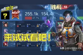 “重装流”永远滴神！47%输出27%承伤，选对装备上分你也行图片