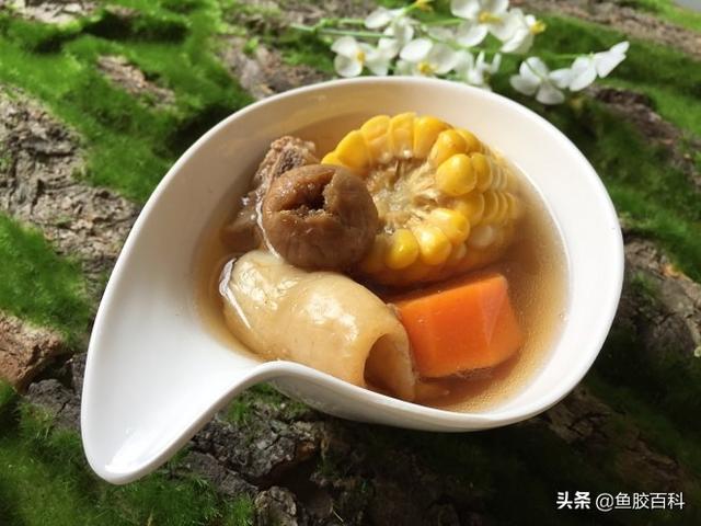 苦瓜花胶排骨汤的做法大全 苦瓜花胶排骨汤的做法大全视频