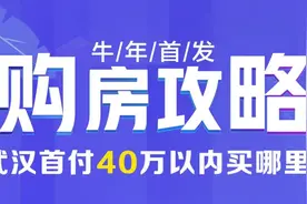 最新统计！首付40万以内，想在武汉买房，这12个楼盘可选图片