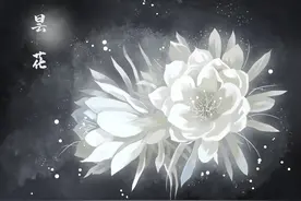 一般来说，爱情对男人而言，只是人生中的一个小插曲图片