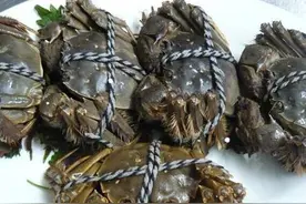 吃不完的螃蟹，不要直接放冰箱，大厨教你一招，放7天也不会坏图片