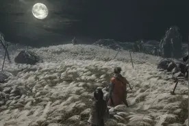 只狼：影逝二度图片