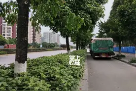 桂林临桂区一非机动车道被大挂车塞满！电动车无路可走图片