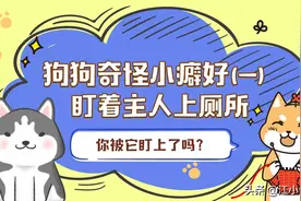 狗狗为什么盯着你上厕所，了解后恍然大悟，这也太感人了吧图片