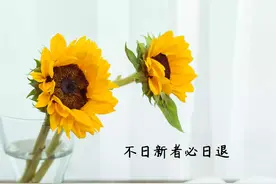 积水成渊丨知识产权法小测试，参考答案公布~图片